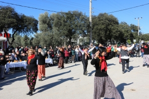BODRUM’DA MANDALİNA HASAT FESTİVALİ GERÇEKLEŞTİRİLDİ