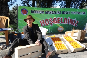 BODRUM’DA MANDALİNA HASAT FESTİVALİ GERÇEKLEŞTİRİLDİ