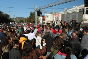 BODRUM’DA MANDALİNA HASAT FESTİVALİ GERÇEKLEŞTİRİLDİ