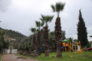 FATMA GİRİK’İN İSMİ BODRUM'DA YAŞATILACAK