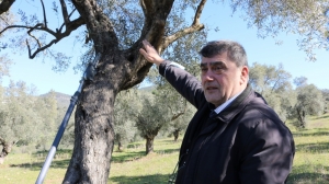 BODRUM BELEDİYESİ ÜRETİCİLERİN YANINDA