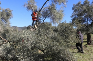 BODRUM BELEDİYESİ ÜRETİCİLERİN YANINDA