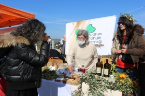 BODRUM TOHUM TAKAS ŞENLİĞİ İLE ATA TOHUMLARI ÜRETİCİLERLE BULUŞTU