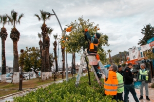 CADDE KENARLARINDAKİ TURUNÇLAR BELEDİYE EKİPLERİNCE TOPLANIYOR