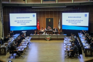 BODRUM BELEDİYESİ “ZEYTİNLİK DÜZENLEMESİ”Nİ YARGIYA TAŞIYOR