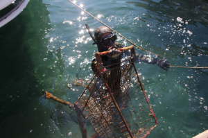 KIYIDA VE DENİZDE TEMİZLİK SÜRÜYOR