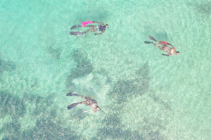 KIYIDA VE DENİZDE TEMİZLİK SÜRÜYOR