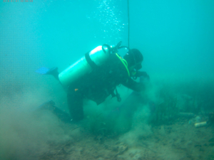 KIYIDA VE DENİZDE TEMİZLİK SÜRÜYOR