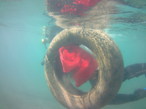 KIYIDA VE DENİZDE TEMİZLİK SÜRÜYOR