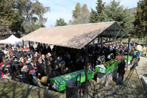 EBRU TURAN VE ÇOCUKLARI BODRUM’DA TOPRAĞA VERİLDİ