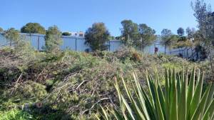 BAŞKAN ARAS, BODRUM`DAKİ HAZİNE ARAZİSİ TALANINA DİKKAT ÇEKTİ: BU TAMAMEN İHANETTİR