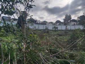 BAŞKAN ARAS, BODRUM`DAKİ HAZİNE ARAZİSİ TALANINA DİKKAT ÇEKTİ: BU TAMAMEN İHANETTİR