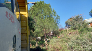 BAŞKAN ARAS, BODRUM`DAKİ HAZİNE ARAZİSİ TALANINA DİKKAT ÇEKTİ: BU TAMAMEN İHANETTİR