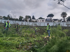 BAŞKAN ARAS, BODRUM`DAKİ HAZİNE ARAZİSİ TALANINA DİKKAT ÇEKTİ: BU TAMAMEN İHANETTİR