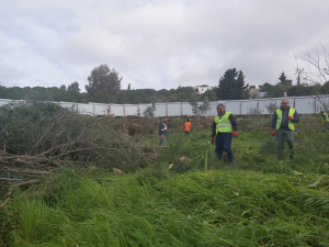 BAŞKAN ARAS, BODRUM`DAKİ HAZİNE ARAZİSİ TALANINA DİKKAT ÇEKTİ: BU TAMAMEN İHANETTİR