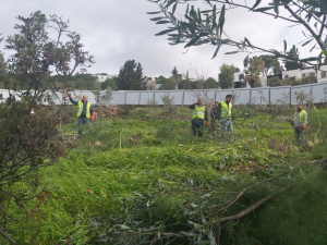 BAŞKAN ARAS, BODRUM`DAKİ HAZİNE ARAZİSİ TALANINA DİKKAT ÇEKTİ: BU TAMAMEN İHANETTİR