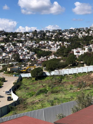 BAŞKAN ARAS, BODRUM`DAKİ HAZİNE ARAZİSİ TALANINA DİKKAT ÇEKTİ: BU TAMAMEN İHANETTİR