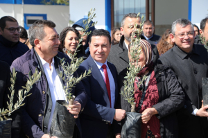 YANGINDA ZARAR GÖREN ÜRETİCİYE 3500 ADET ZEYTİN FİDANI HİBE EDİLDİ