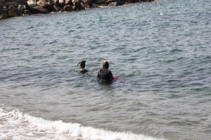 DENİZ DİBİ TEMİZLİĞİ DEVAM EDİYOR