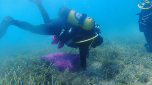 DENİZ DİBİ TEMİZLİĞİ DEVAM EDİYOR