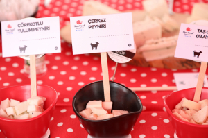 IV.ULUSLARARASI PEYNİR FESTİVALİ BODRUM`DA BAŞLADI