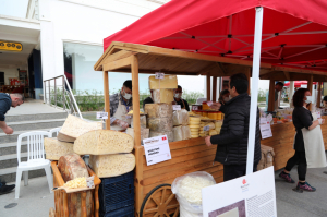 IV.ULUSLARARASI PEYNİR FESTİVALİ BODRUM`DA BAŞLADI