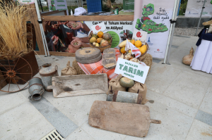 IV.ULUSLARARASI PEYNİR FESTİVALİ BODRUM`DA BAŞLADI