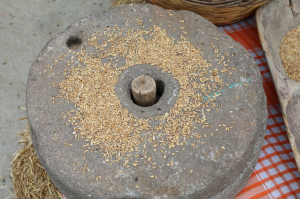 IV.ULUSLARARASI PEYNİR FESTİVALİ BODRUM`DA BAŞLADI