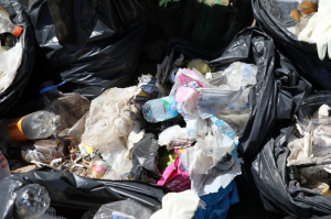 BODRUM’DA BAHAR TEMİZLİĞİ SÜRÜYOR