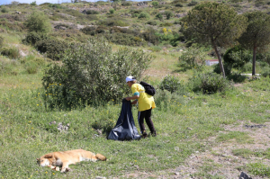 BODRUM’DA BAHAR TEMİZLİĞİ SÜRÜYOR