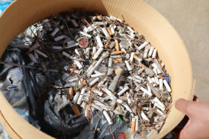 BODRUM’DA BAHAR TEMİZLİĞİ SÜRÜYOR