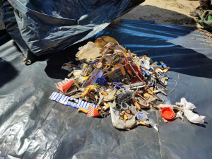 BODRUM’DA BAHAR TEMİZLİĞİ SÜRÜYOR