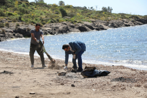BODRUM’DA BAHAR TEMİZLİĞİ SÜRÜYOR