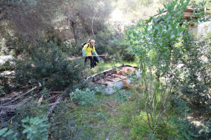 BODRUM’DA BAHAR TEMİZLİĞİ SÜRÜYOR