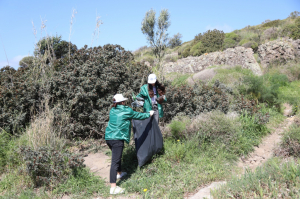 BODRUM’DA BAHAR TEMİZLİĞİ SÜRÜYOR
