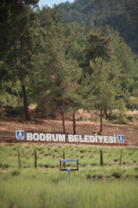 BELEDİYENİN TARIMSAL KALKINMA HAMLESİ MEYVELERİNİ VERİYOR