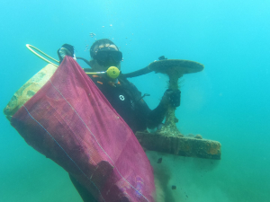 BODRUM’DA DÜNYA ÇEVRE GÜNÜ ETKİNLİKLERİ
