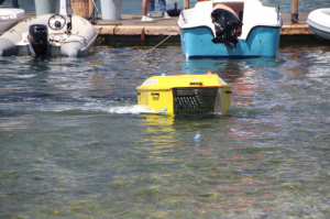 BODRUM’DA DÜNYA ÇEVRE GÜNÜ ETKİNLİKLERİ