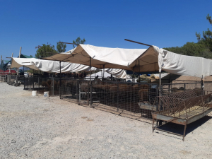 KURBAN KESİM YERLERİ HAZIR