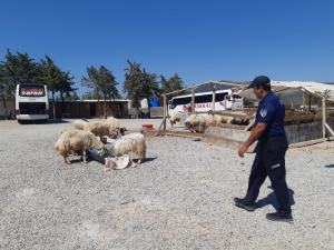 KURBAN KESİM YERLERİ HAZIR