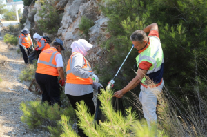 BODRUM, ARAÇLARDAN ATILAN ÇÖPLERDEN ARINDIRILIYOR
