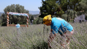 BELEDİYEDEN DİSTİLASYON MAKİNESİ TEMİNİ