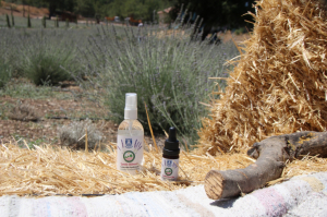 BELEDİYEDEN DİSTİLASYON MAKİNESİ TEMİNİ