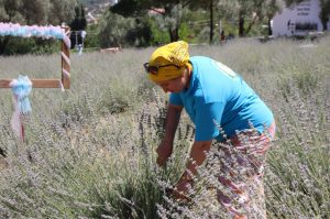 KATILIMCILAR TARIM KAMPI’NDAN MEMNUN AYRILIYOR