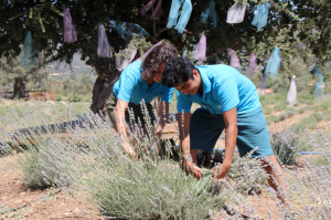 KATILIMCILAR TARIM KAMPI’NDAN MEMNUN AYRILIYOR