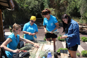 KATILIMCILAR TARIM KAMPI’NDAN MEMNUN AYRILIYOR