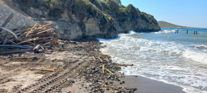 KAÇAK İSKELELERİN KALDIRILMASINA DEVAM EDİLİYOR