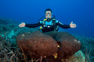 BODRUM’UN SUALTI ZENGİNLİKLERİ BELGESEL OLUYOR