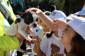 BELEDİYEDEN ANAOKULU ÖĞRENCİLERİNE SÜRPRİZ