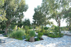 CEVAT ŞAKİR KABAAĞAÇLI, ÖLÜMÜNÜN 49. YILINDA ANILDI